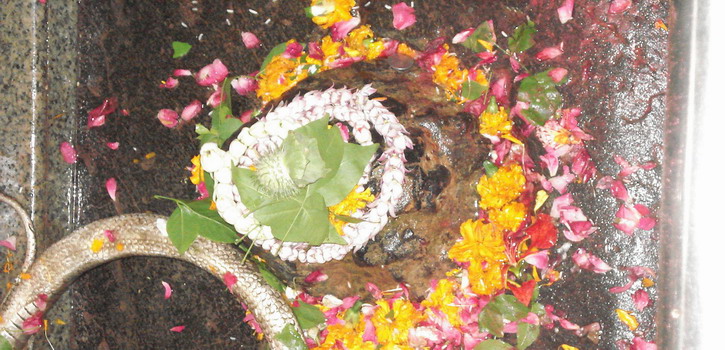 Shivling inside Omkareshwar Jyotirlinga sanctum
