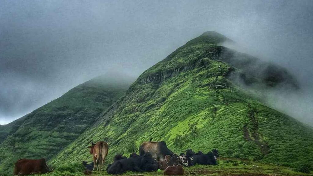 Panoramic view from Brahmagiri Nashik summit