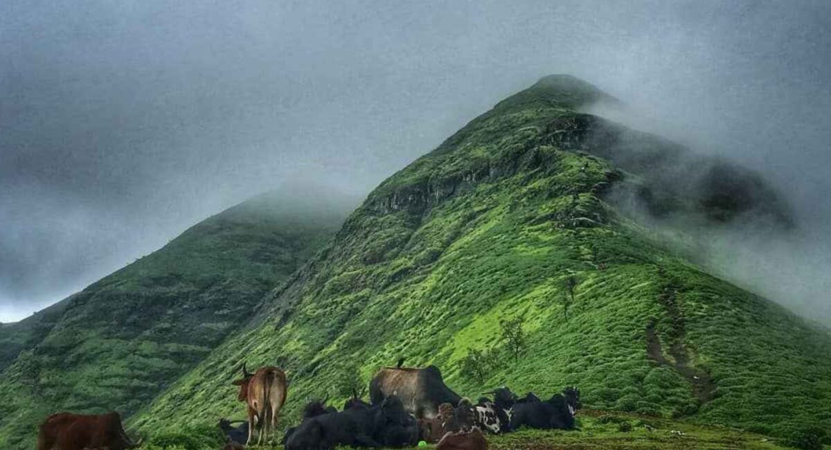 Panoramic view from Brahmagiri Nashik summit