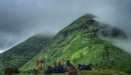 Panoramic view from Brahmagiri Nashik summit