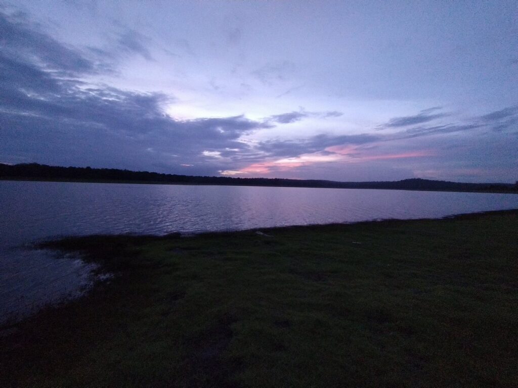 The Kabini River 2 A scenic view of the Kabini River backwaters during sunset with a herd of Asiatic elephants grazing on the grassy banks and a safari boat in the distance