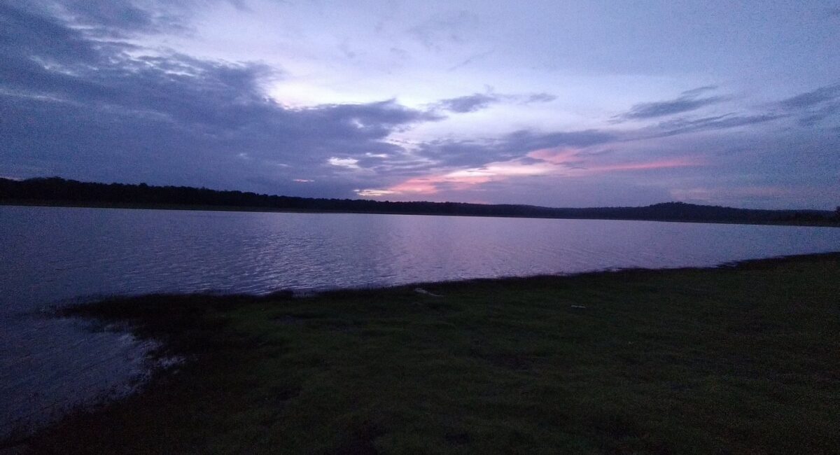 A scenic view of the Kabini River backwaters during sunset with a herd of Asiatic elephants grazing on the grassy banks and a safari boat in the distance