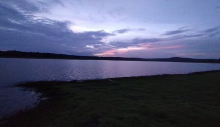 A scenic view of the Kabini River backwaters during sunset with a herd of Asiatic elephants grazing on the grassy banks and a safari boat in the distance